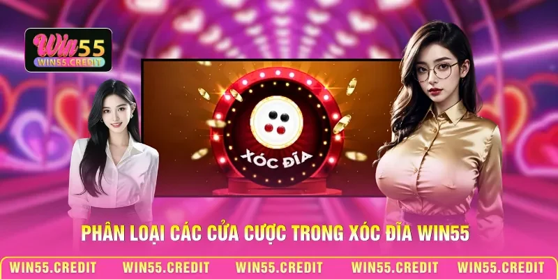 Cách Chơi Xóc Đĩa Win55 - Nắm Luật Nhanh, Tăng Tỷ Lệ Thắng 3 Phân loại các cửa cược trong xóc đĩa Win55